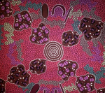 Wild Bush Honey Ants - Pink